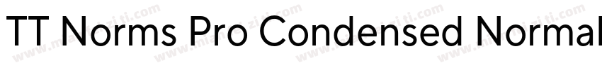 TT Norms Pro Condensed Normal字体转换